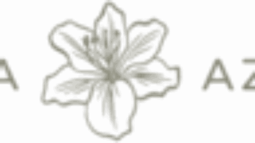 cropped-az_logo-218x53